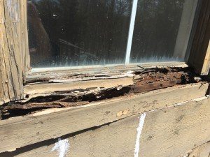 What should I do with my exterior wood rot in White Lake, MI?